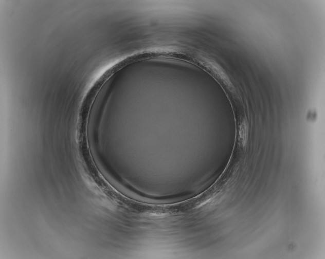 X0000091540724200709141455