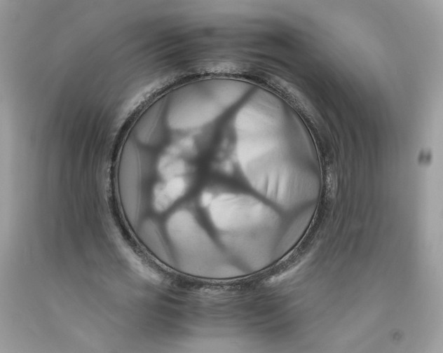 X0000091540725200709141455