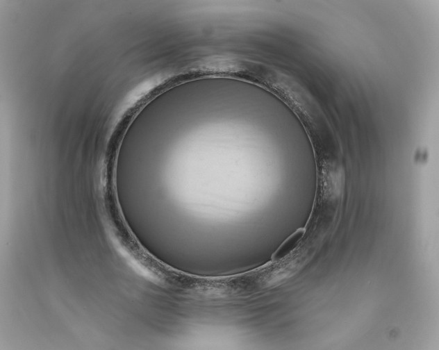 X0000091540726200709141455