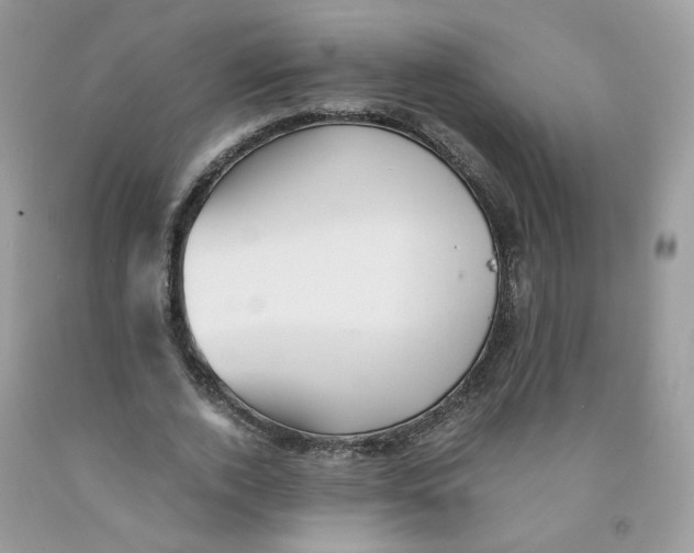 X0000091540728200709141455