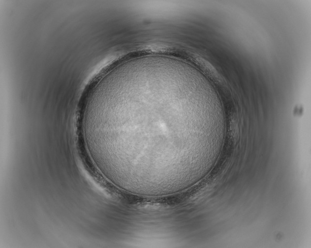 X0000091540730200709141455