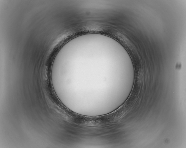 X0000091540731200709141455