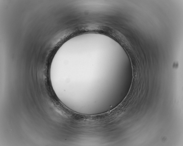 X0000091540732200709141455