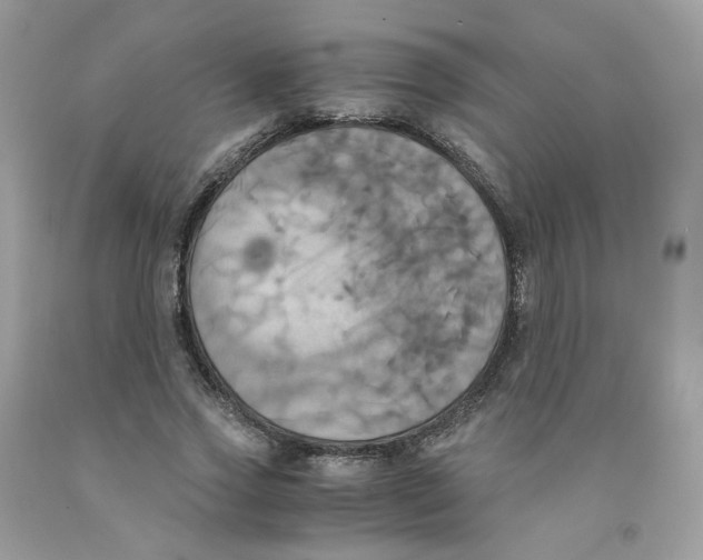 X0000091540733200709141455