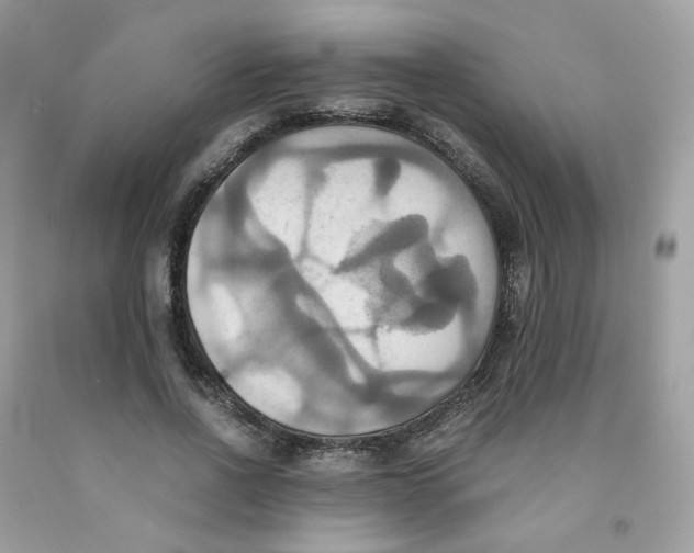 X0000091540734200709141455