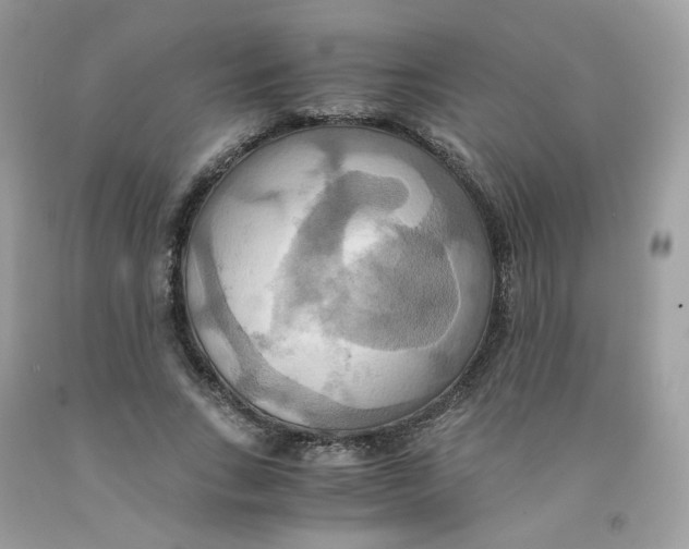 X0000091540735200709141455