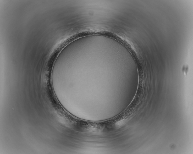 X0000091540736200709141455