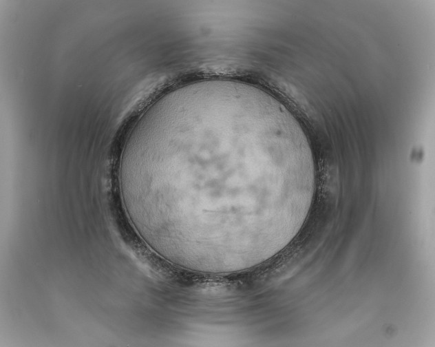 X0000091540738200709141455