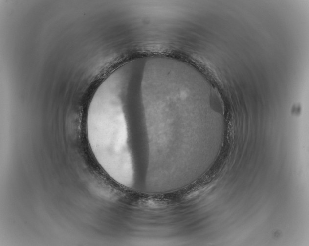 X0000091540739200709141455