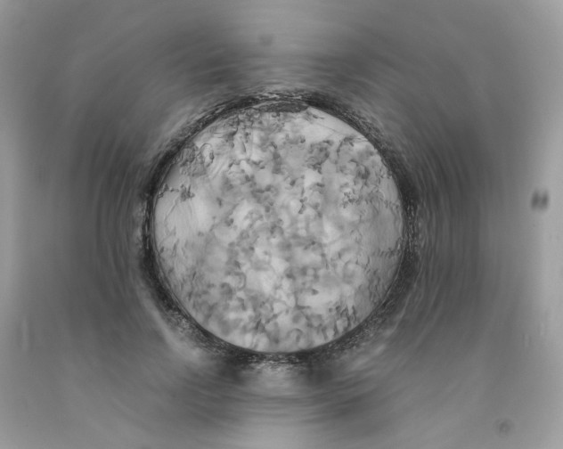 X0000091540742200709141455