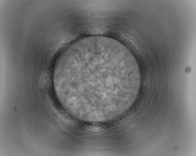 X0000091540743200709141455