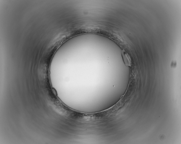 X0000091540744200709141455