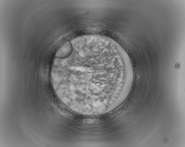 X0000091540745200709141455