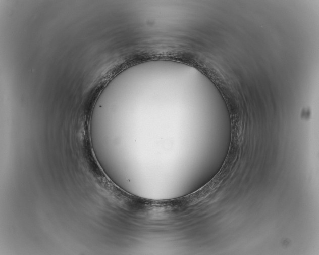 X0000091540746200709141455