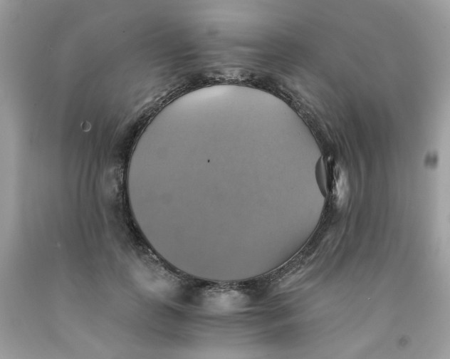 X0000091540747200709141455