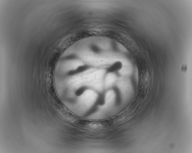 X0000091540749200709141455