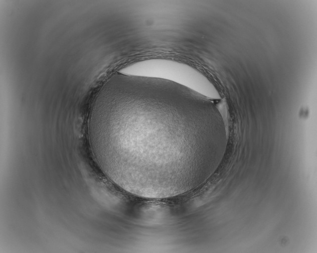 X0000091540750200709141455