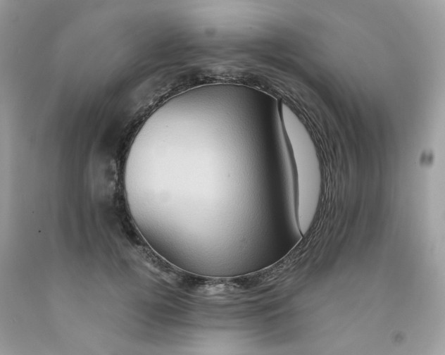 X0000091540752200709141455