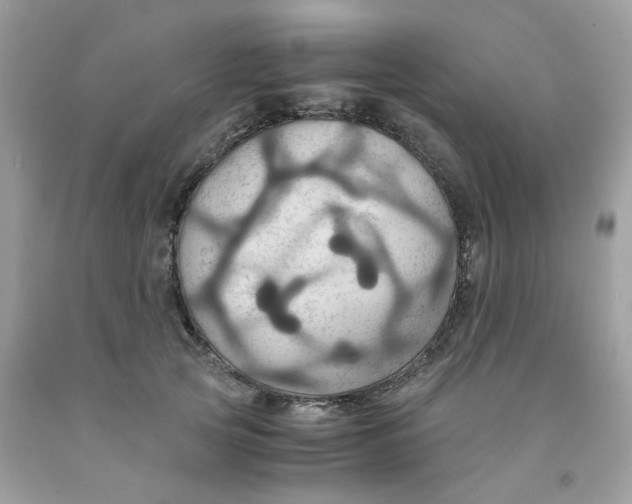 X0000091540753200709141455