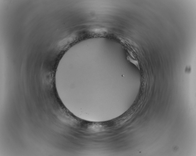 X0000091540759200709141455