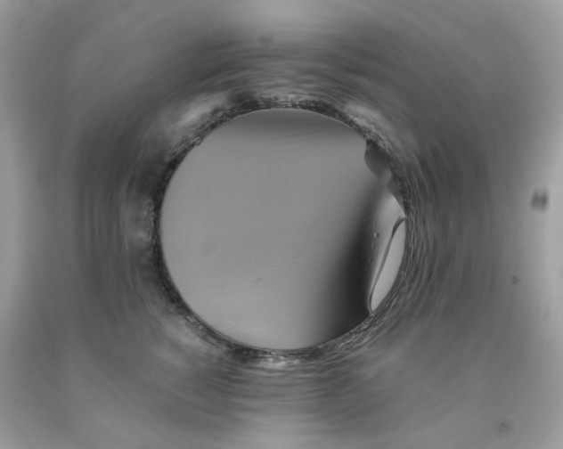 X0000091540760200709141455