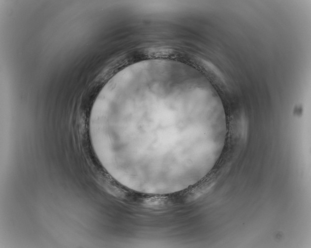 X0000091540761200709141455