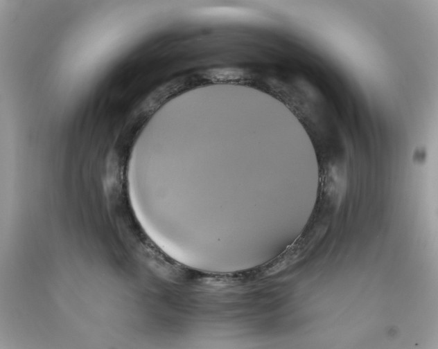 X0000091540763200709141455