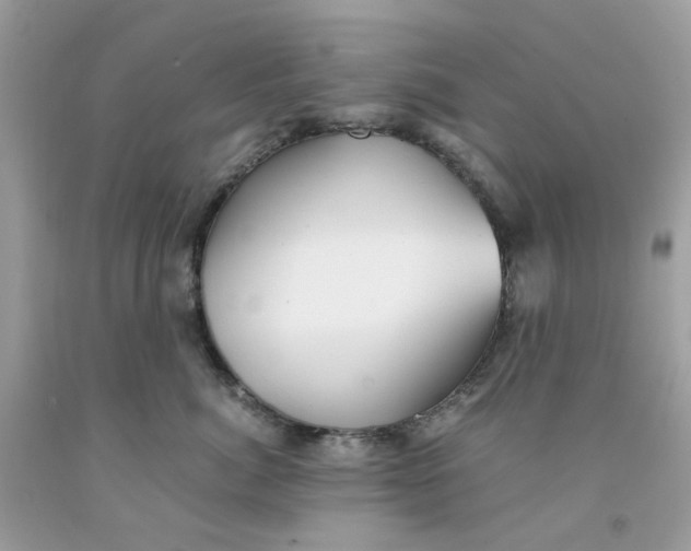 X0000091540764200709141455