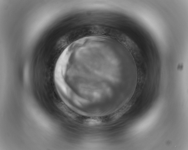 X0000091540765200709141455