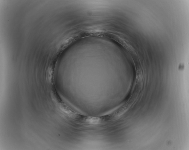 X0000091540767200709141455