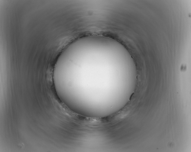 X0000091540768200709141455