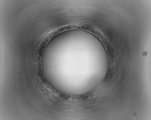 X0000091540773200709141455