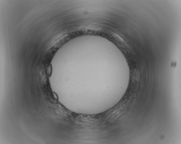 X0000091540774200709141455