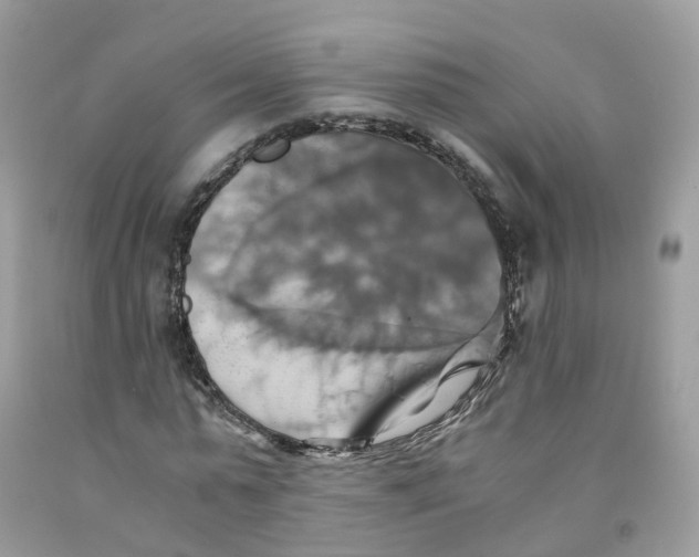 X0000091540775200709141455