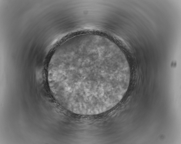 X0000091540776200709141455