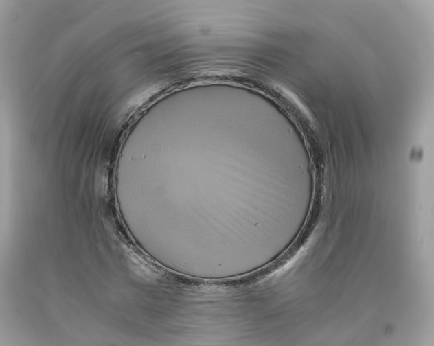 X0000091540777200709141455