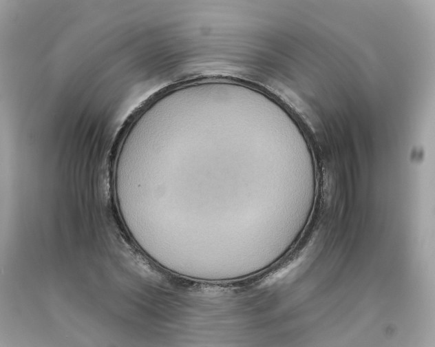 X0000091540782200709141455