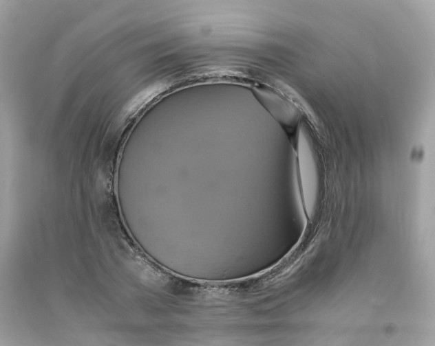 X0000091540785200709141455