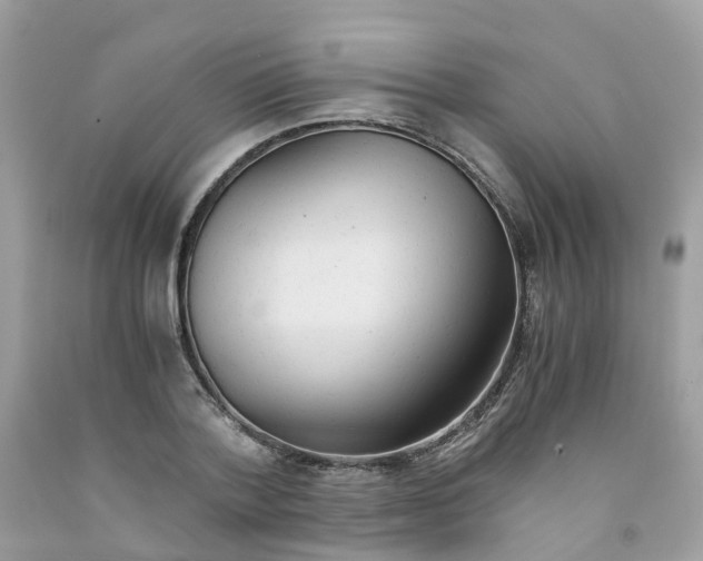 X0000091540788200709141455