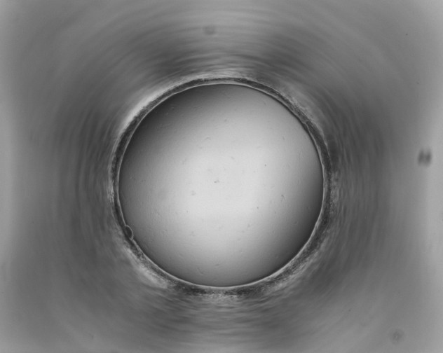 X0000091540789200709141455