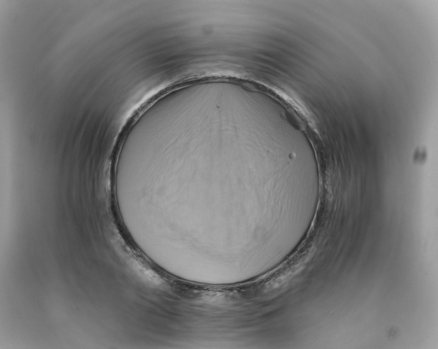 X0000091540790200709141455