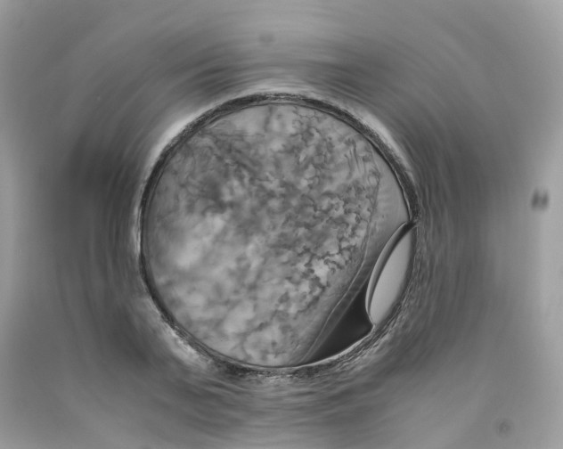 X0000091540791200709141455