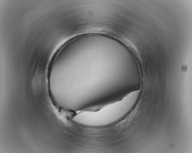 X0000091540792200709141455