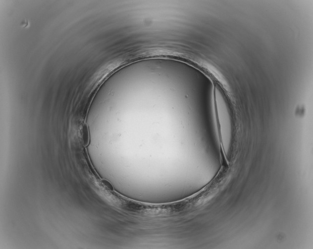 X0000091540793200709141455