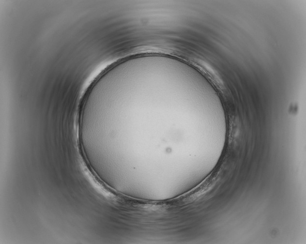 X0000091540796200709141454