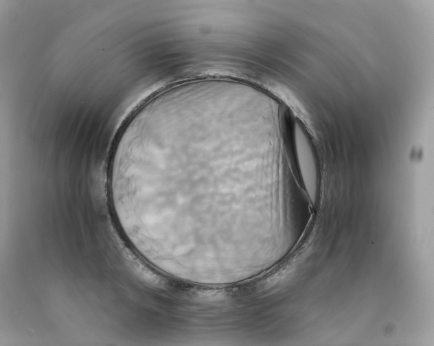 X0000091540798200709141454