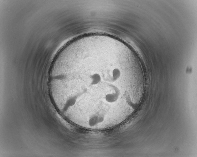 X0000091540799200709141454