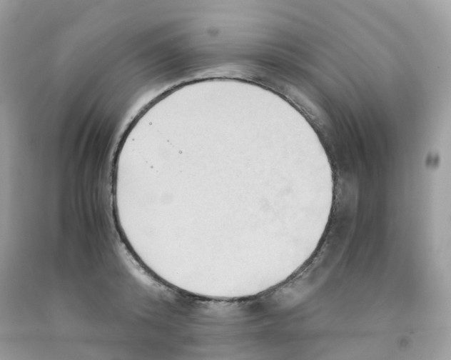 X0000091540800200709141454