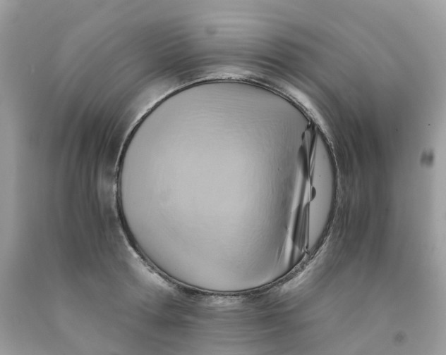 X0000091540802200709141454