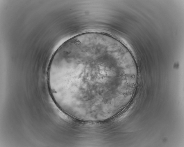 X0000091540803200709141454